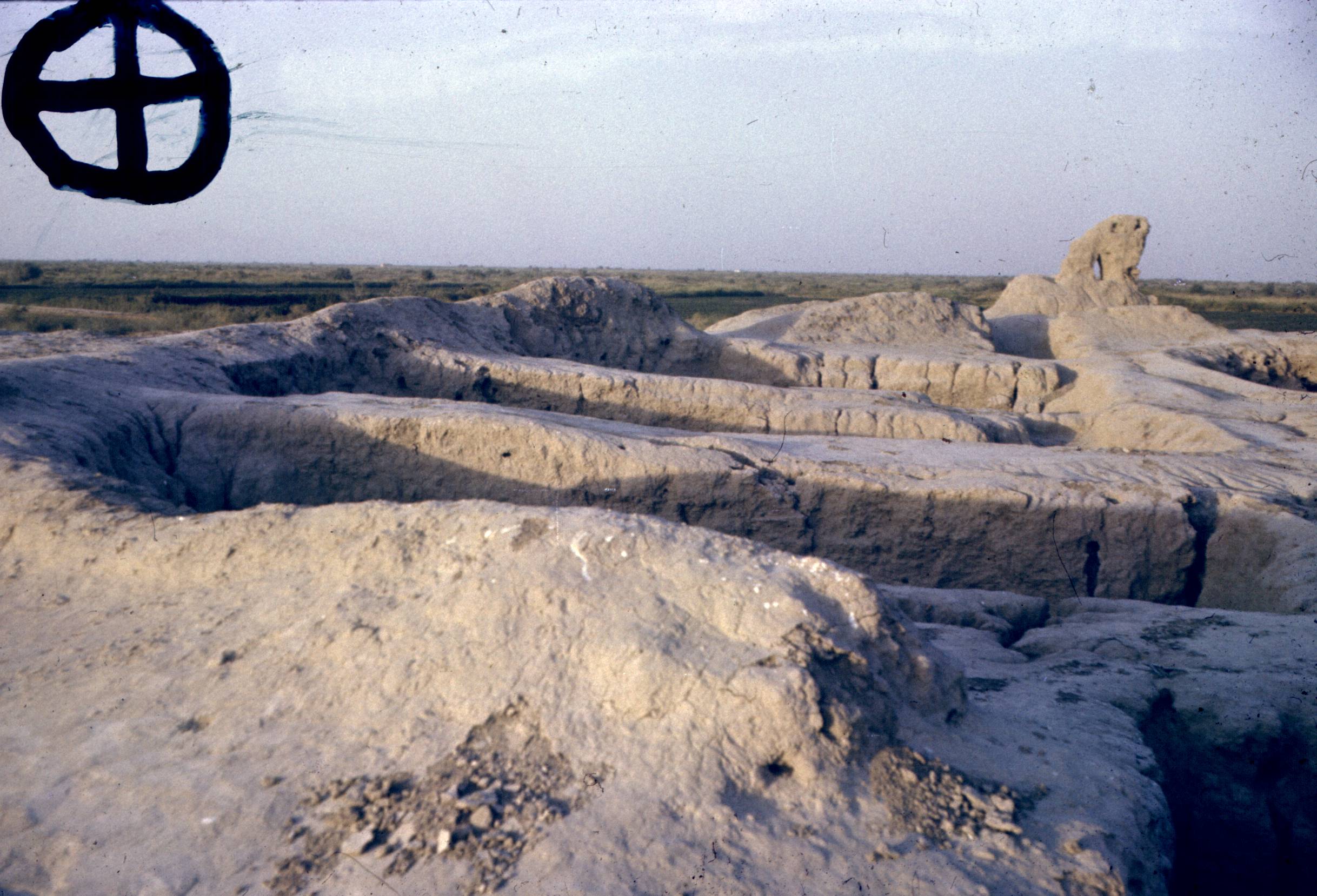 191.jpg