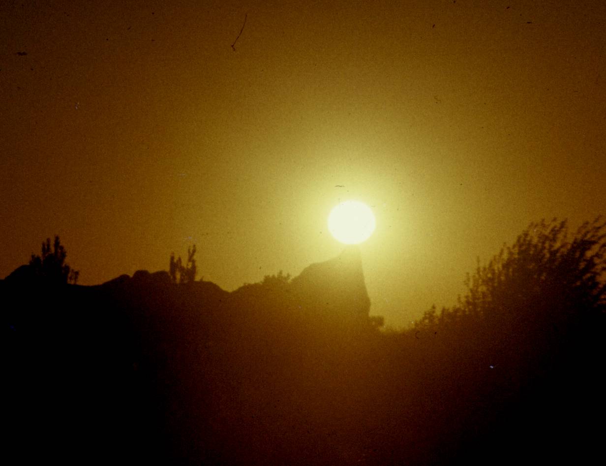 196.jpg