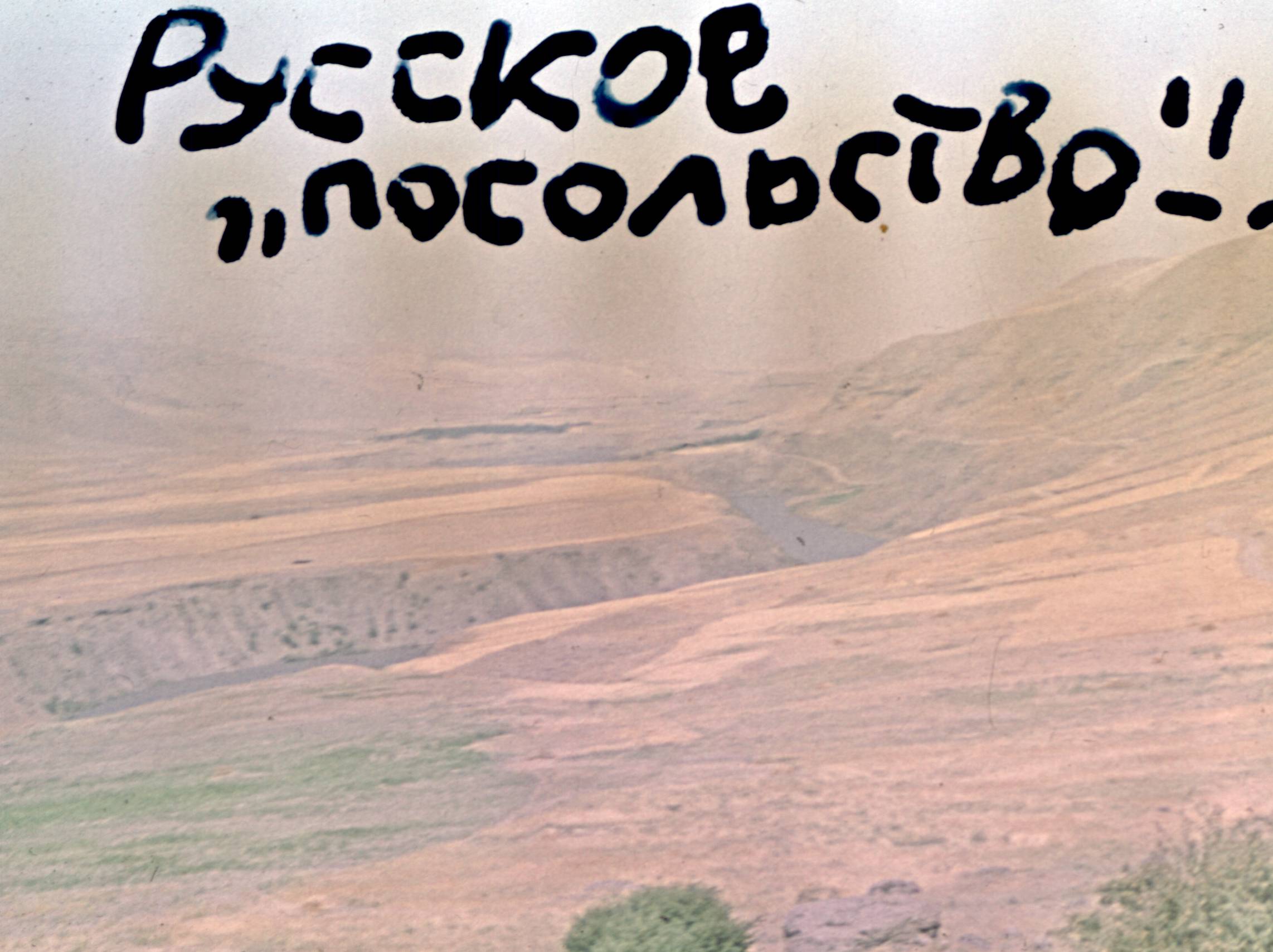 274.jpg