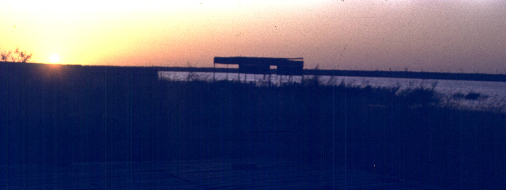 275.jpg