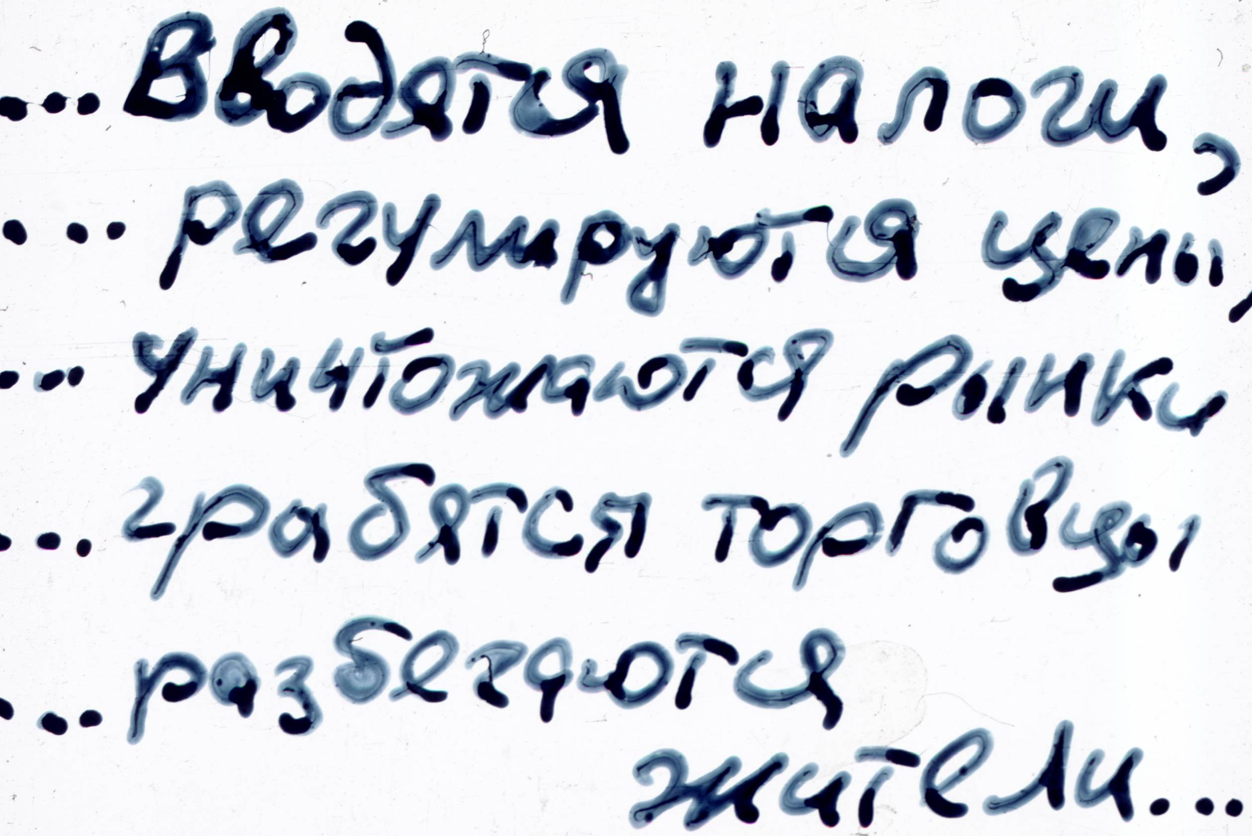 344.jpg
