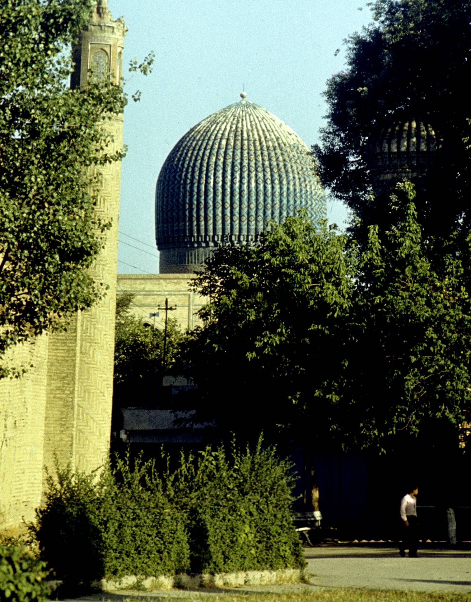 379.jpg