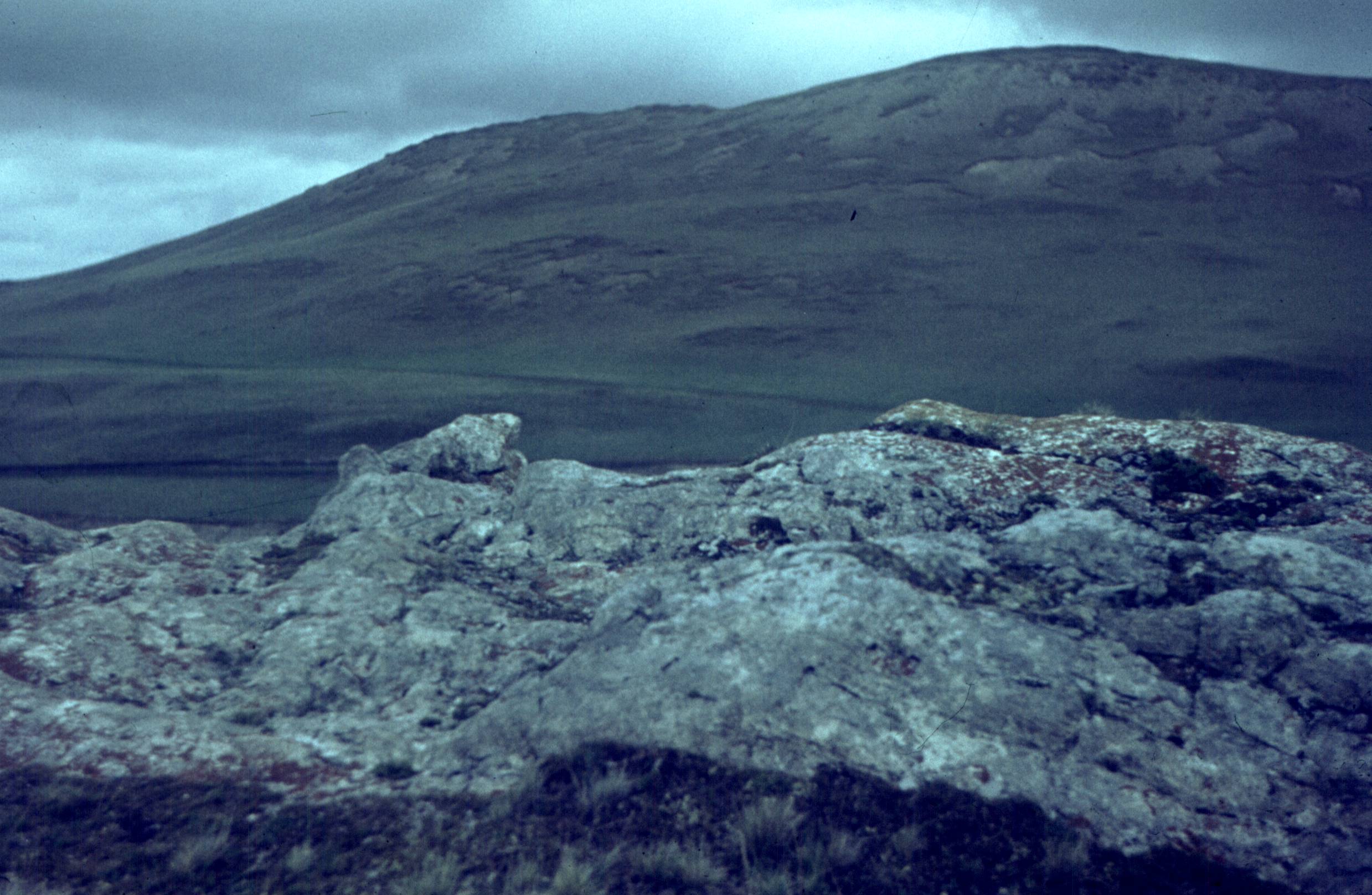 075.jpg