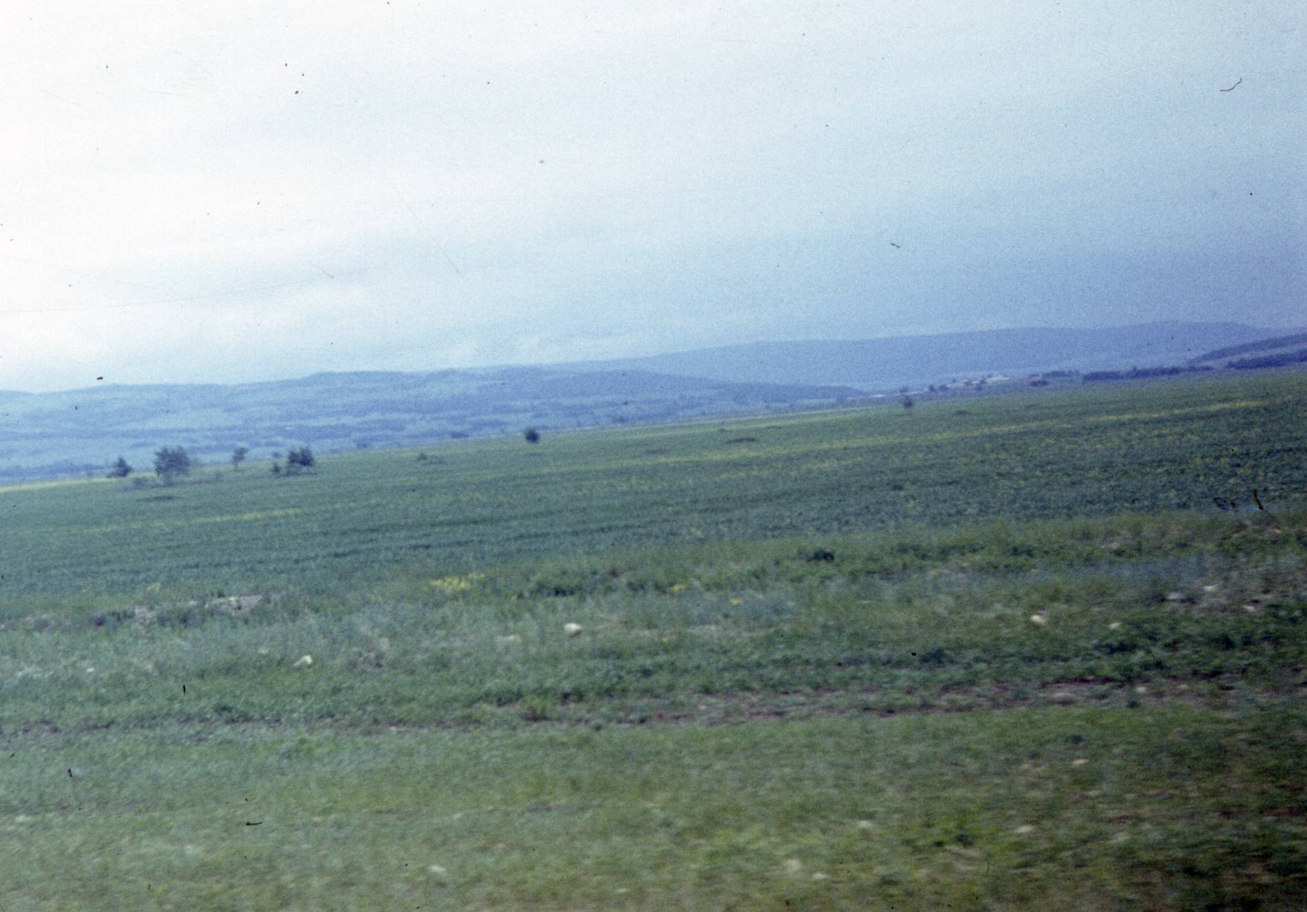 169.jpg