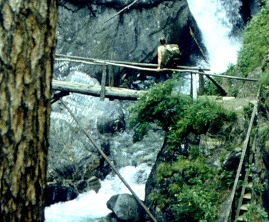181-1.jpg