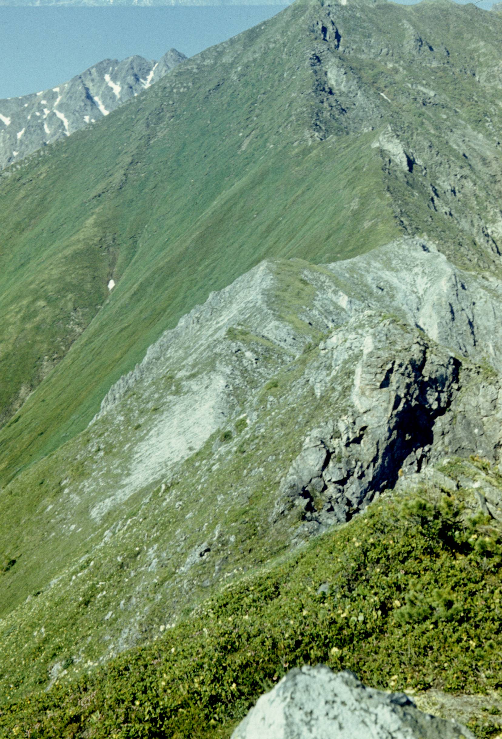 246.jpg