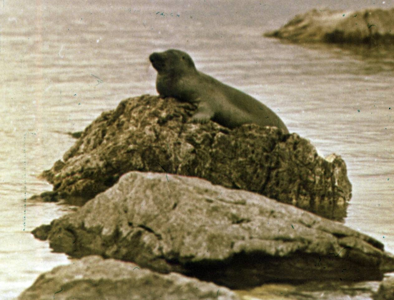116.jpg