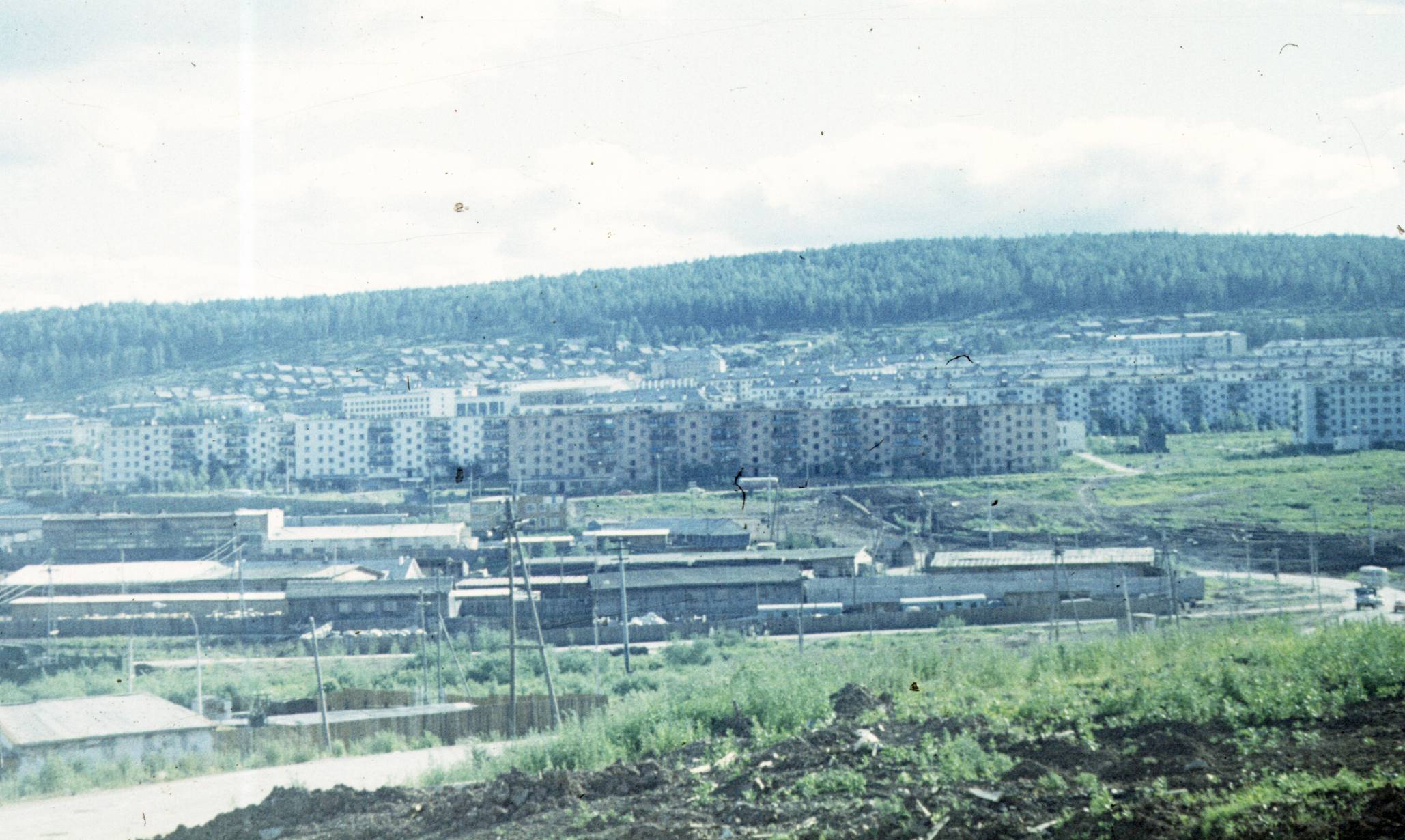 131.jpg