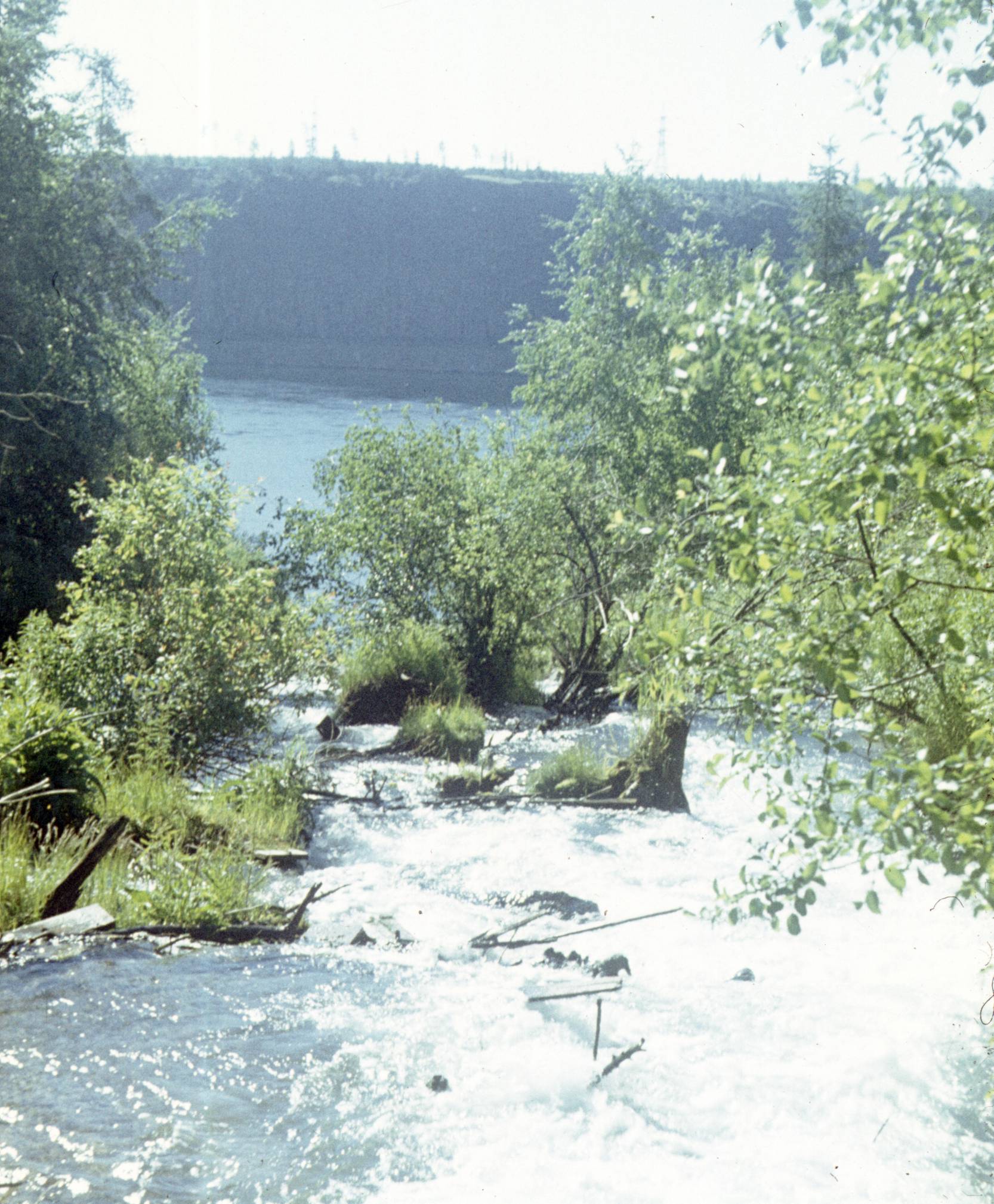 145.jpg