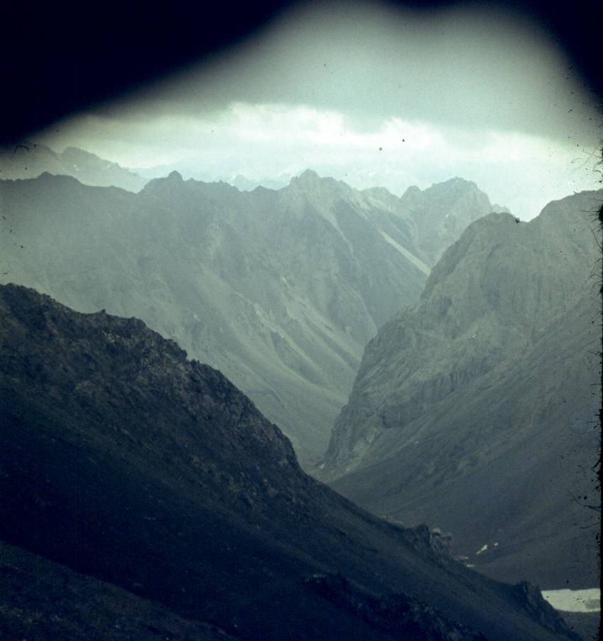 010.jpg