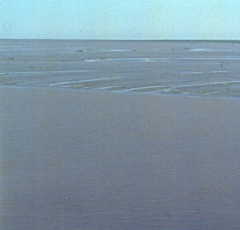 027-1.jpg