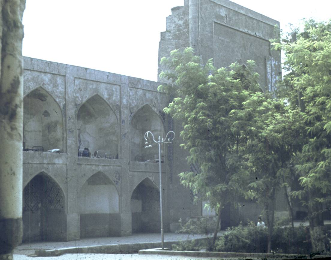 113.jpg
