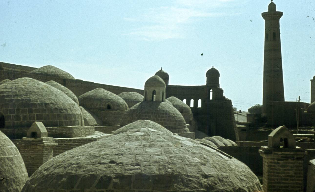142.jpg