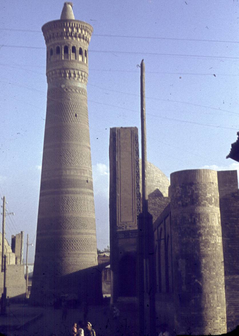 144-1.jpg