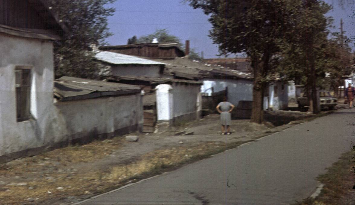 169.jpg