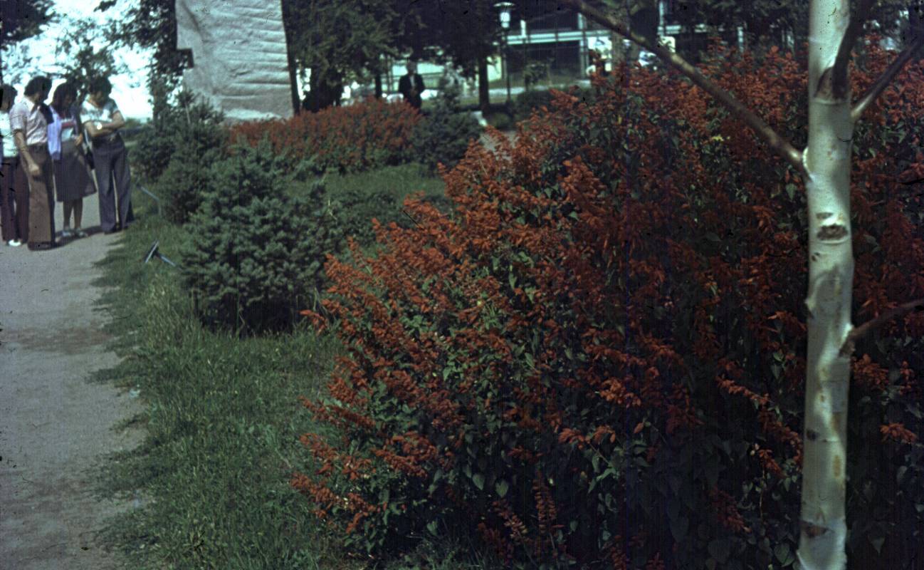 193.jpg