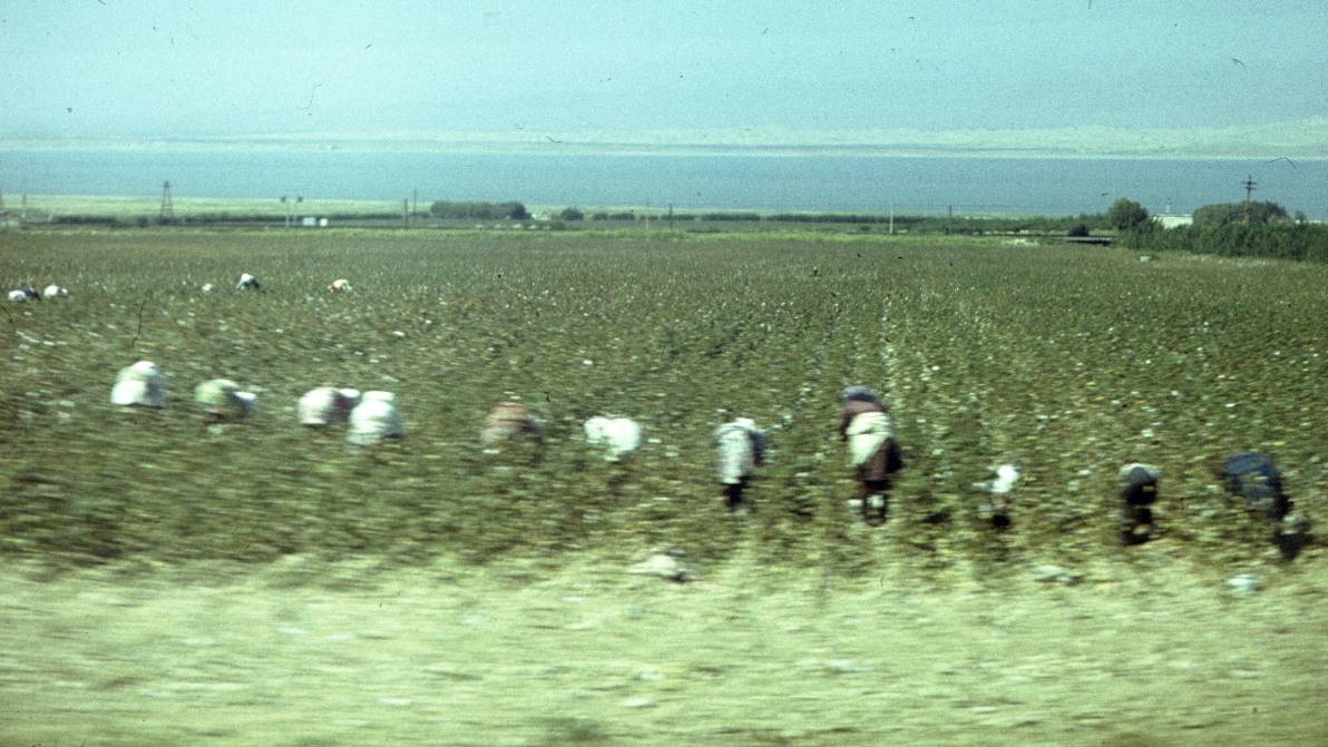 217.jpg