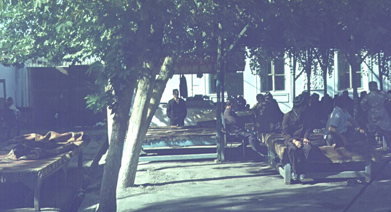 221.jpg