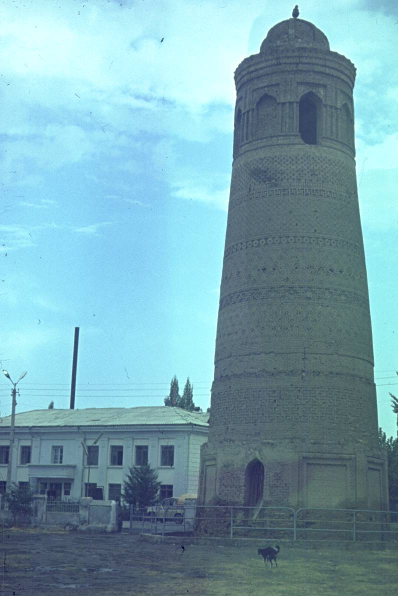230.jpg