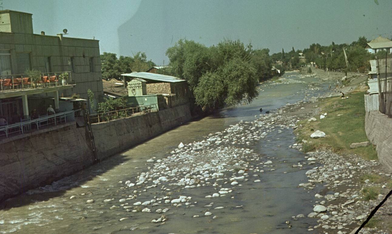 253.jpg