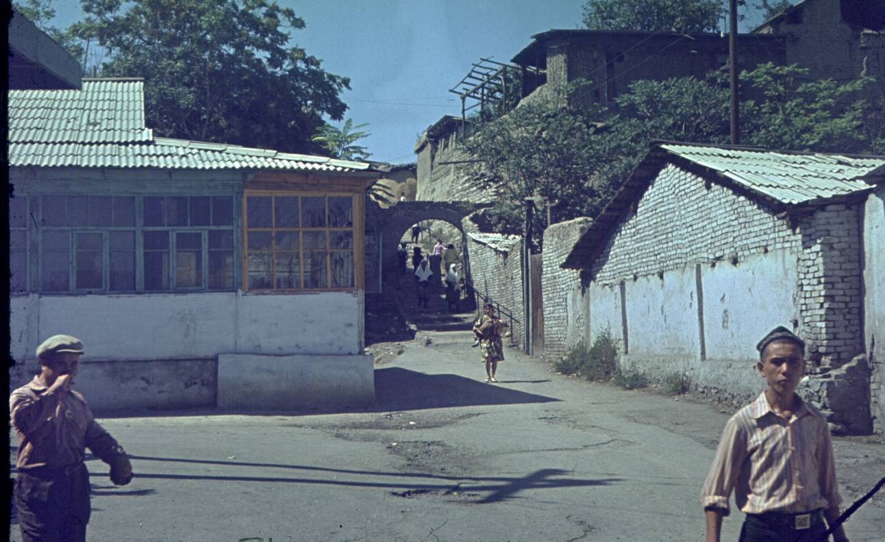 254.jpg