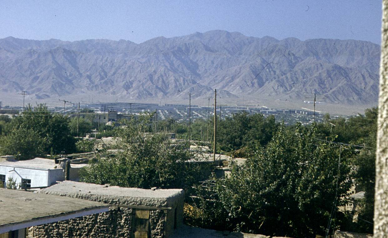 258.jpg