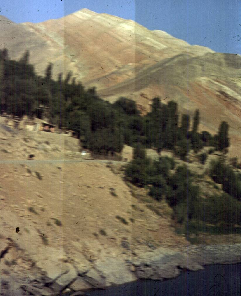 331.jpg