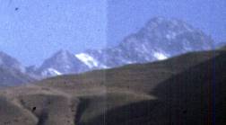 335-1.jpg