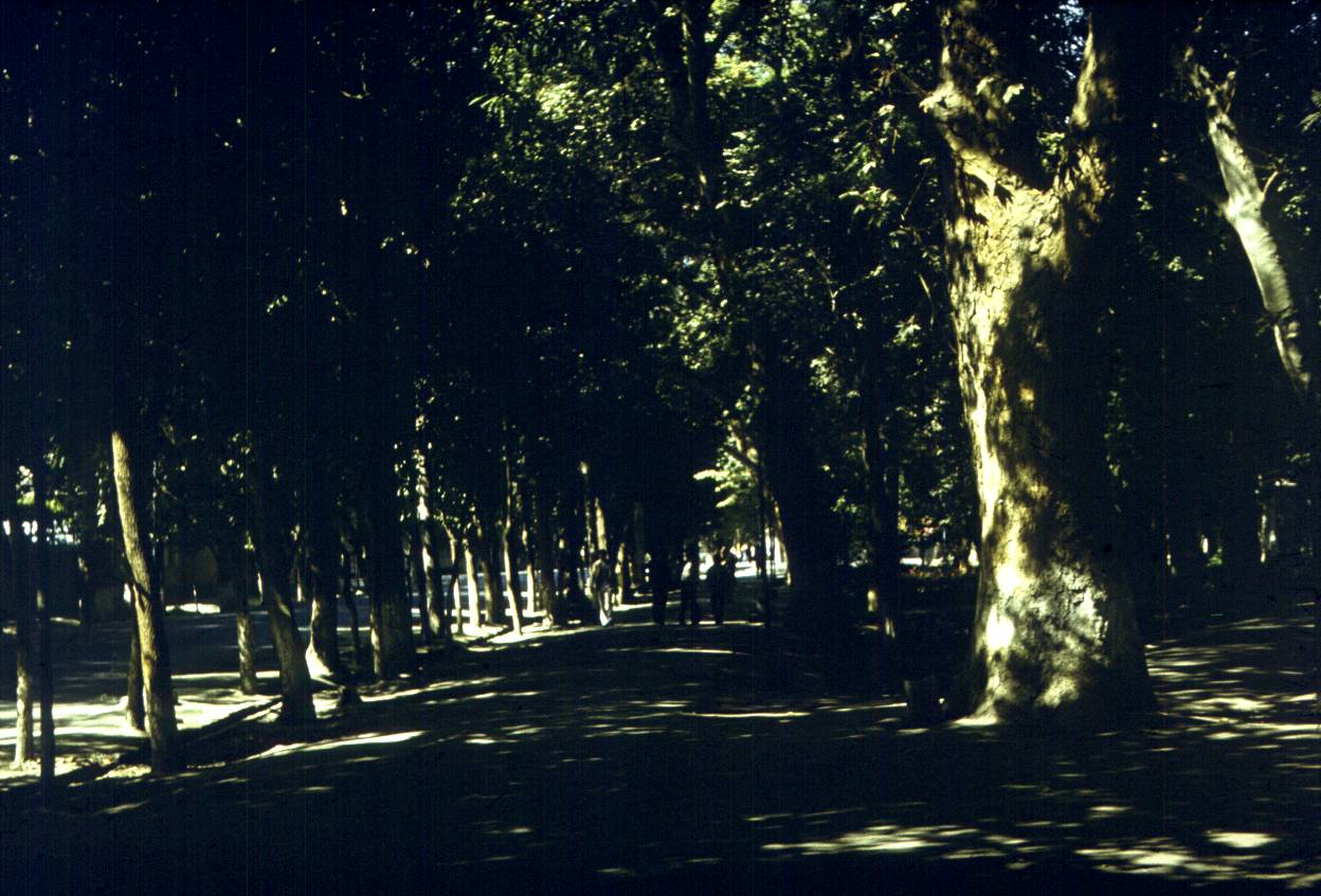 336.jpg