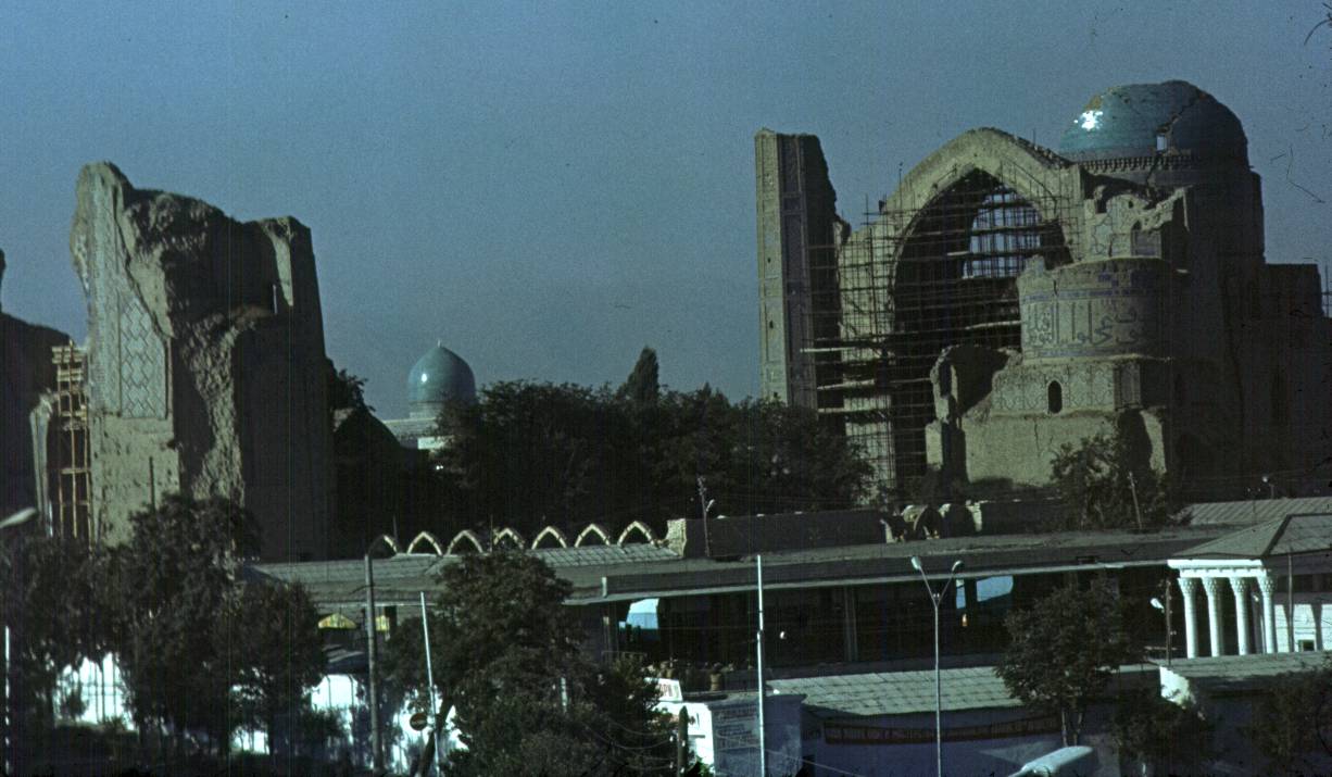 346.jpg