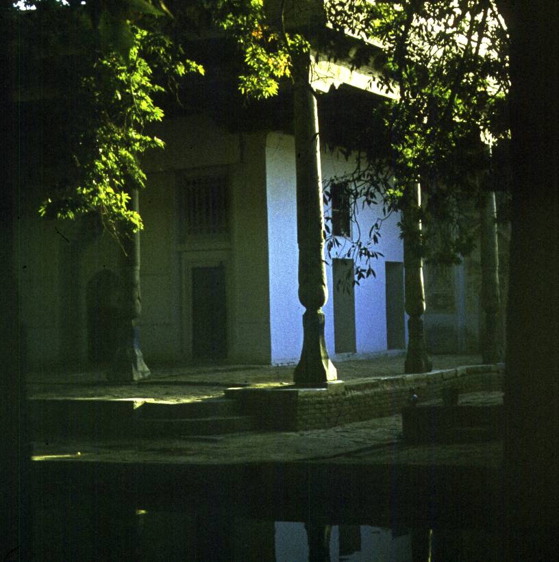 370.jpg