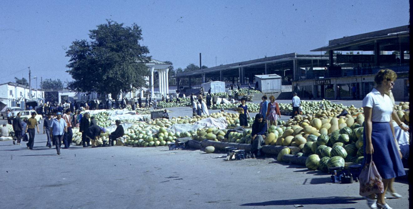 375.jpg