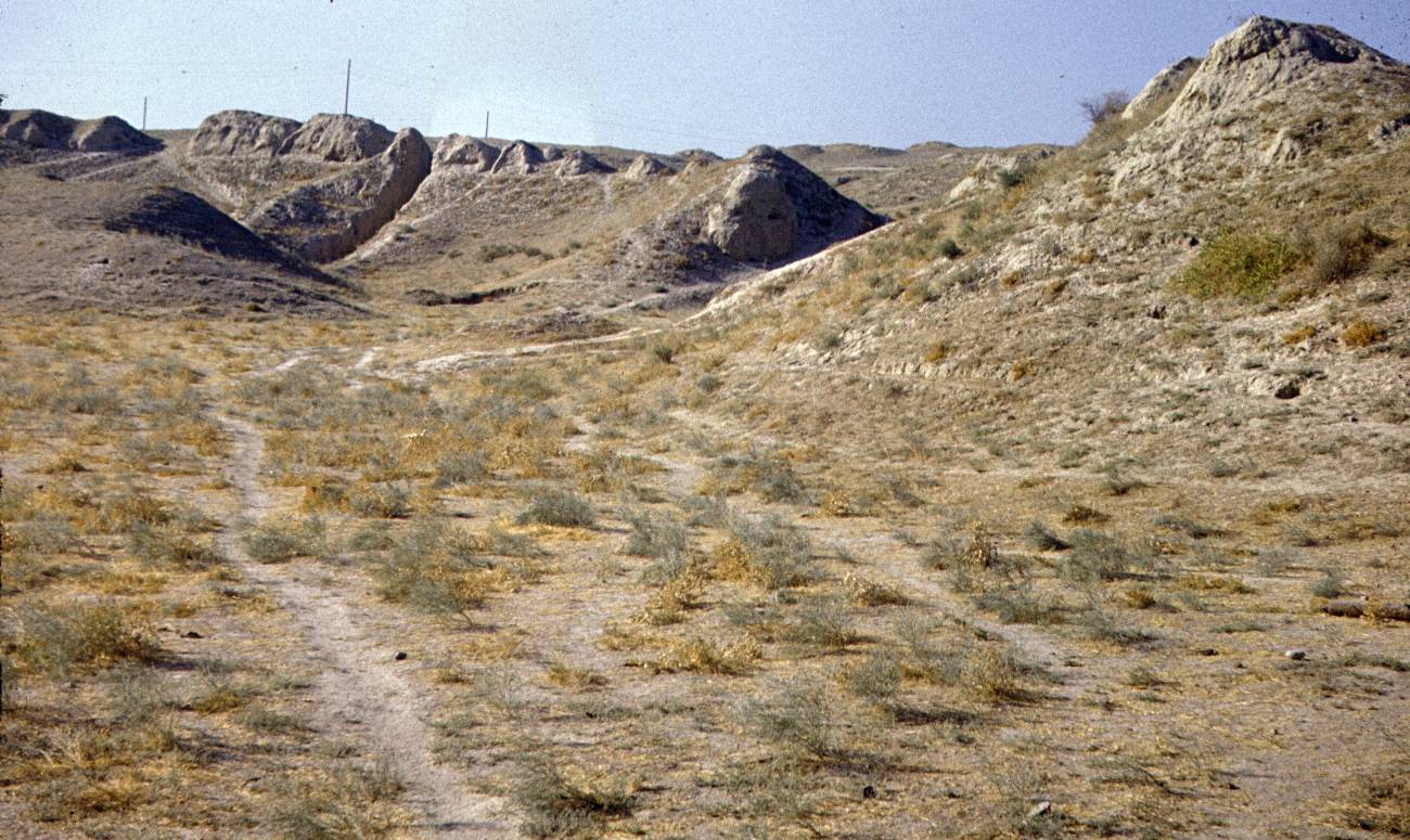 387.jpg