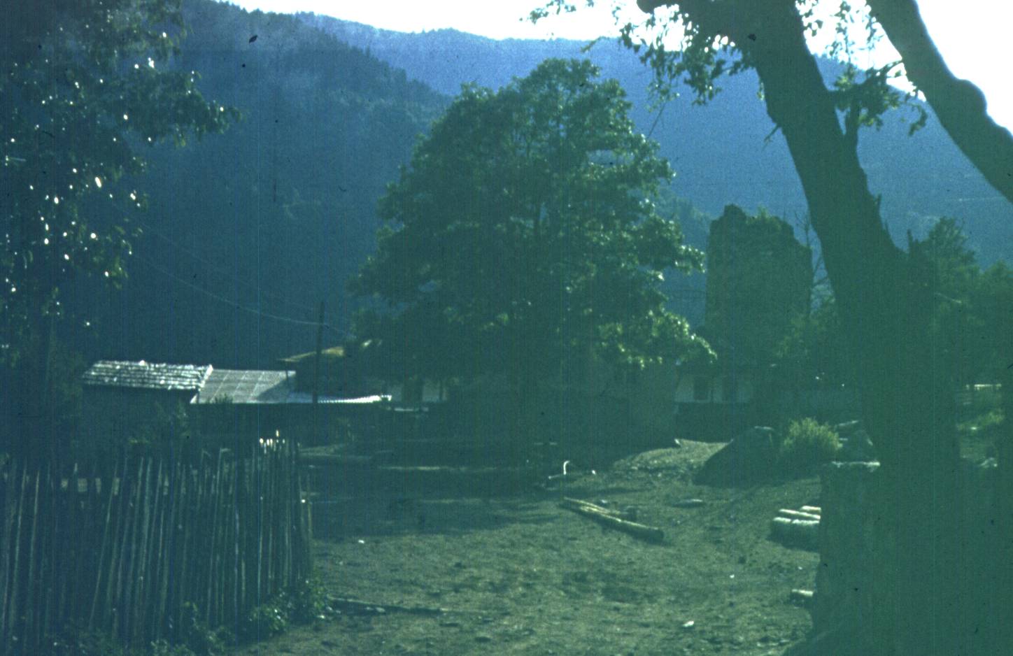 038-1.jpg