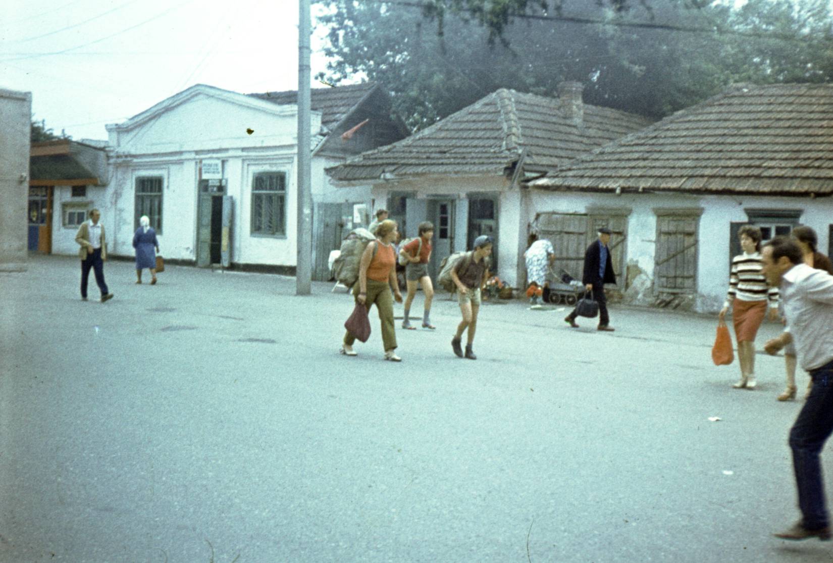 050.jpg