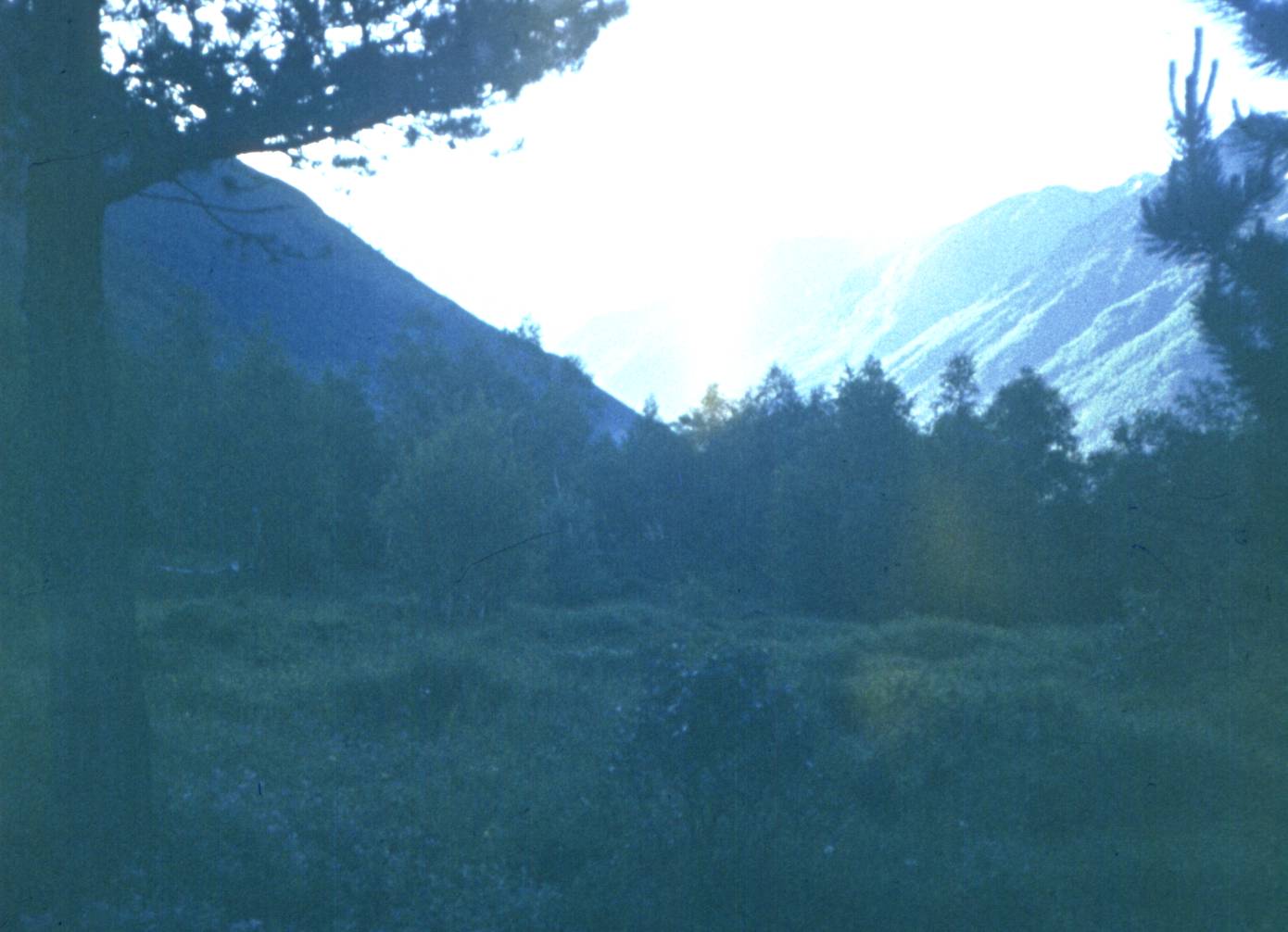 062.jpg