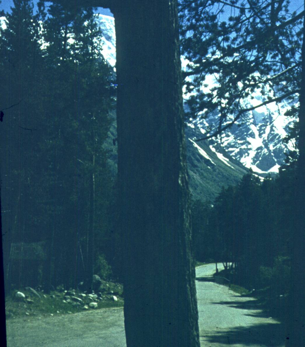 091-1.jpg
