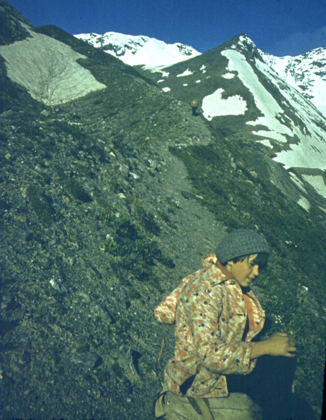 107.jpg