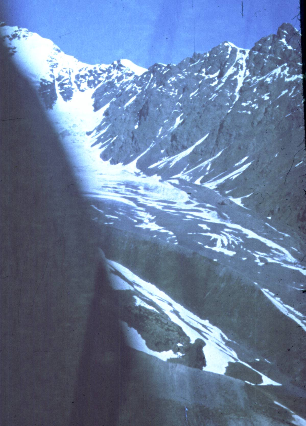113.jpg