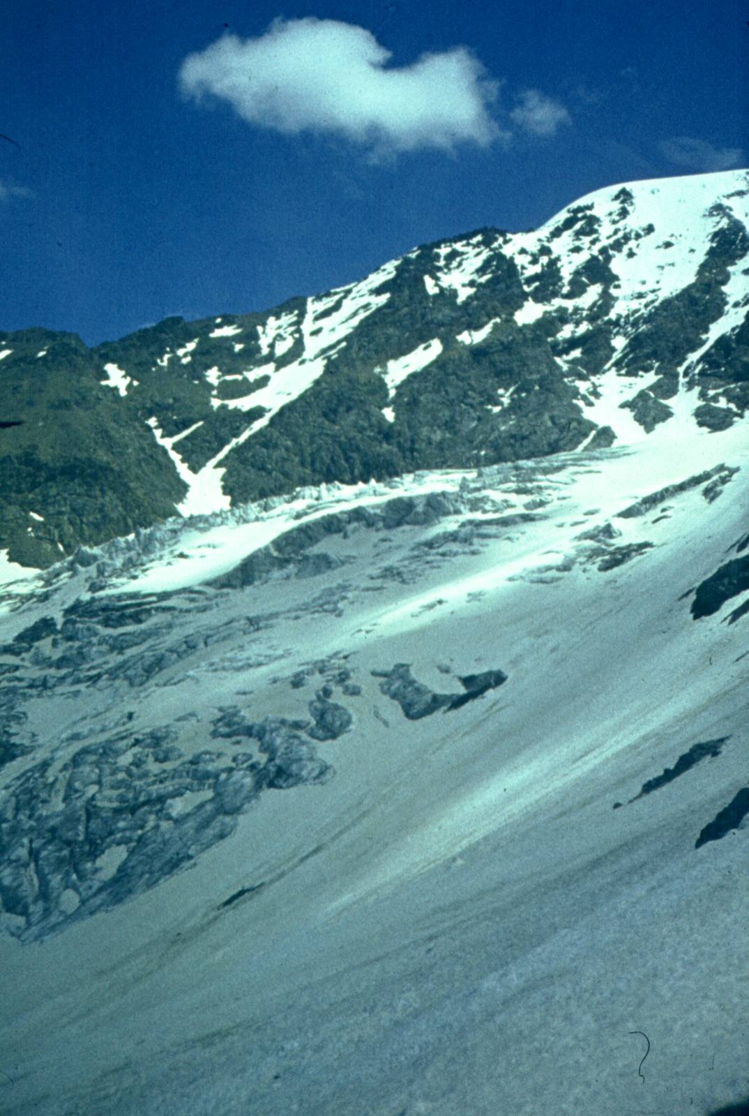 125.jpg