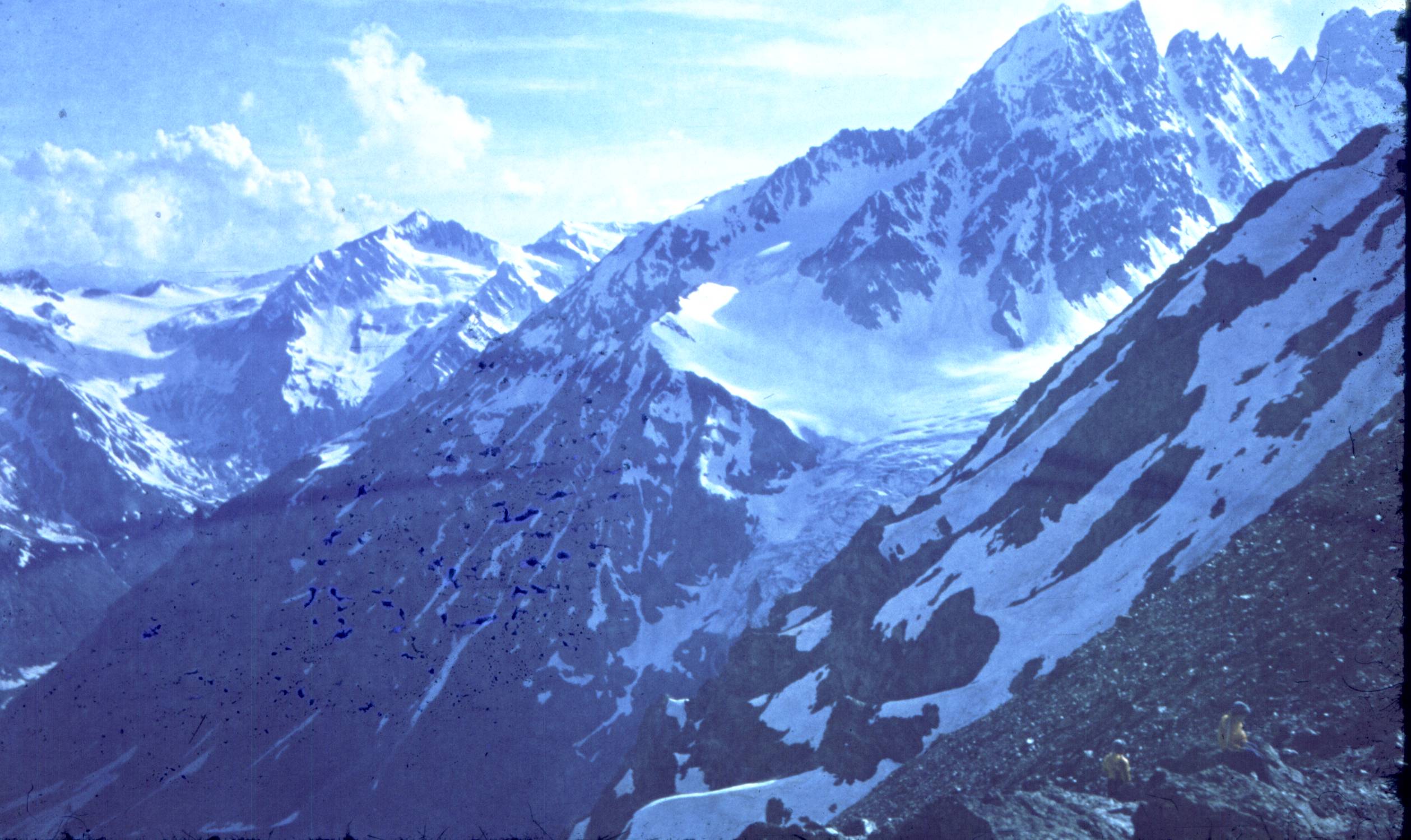 131.jpg