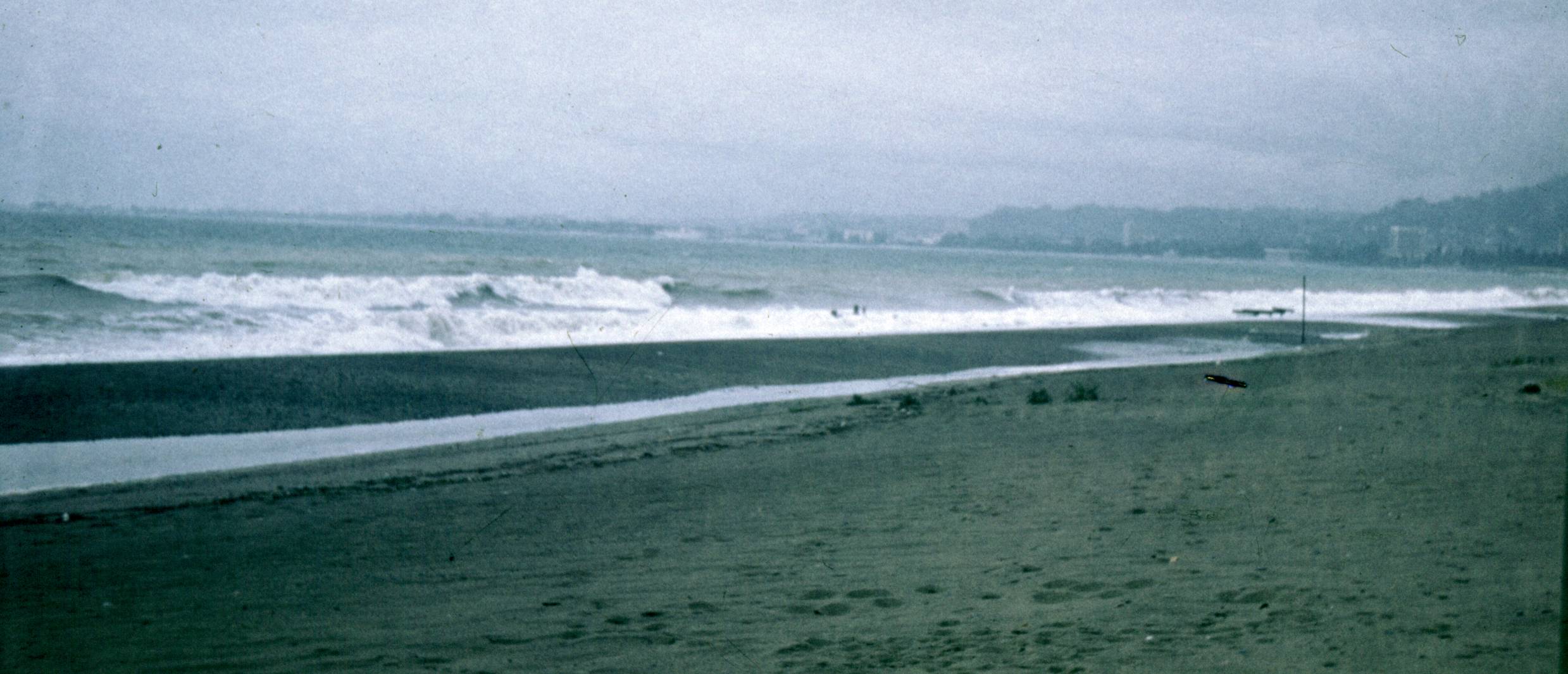 155.jpg