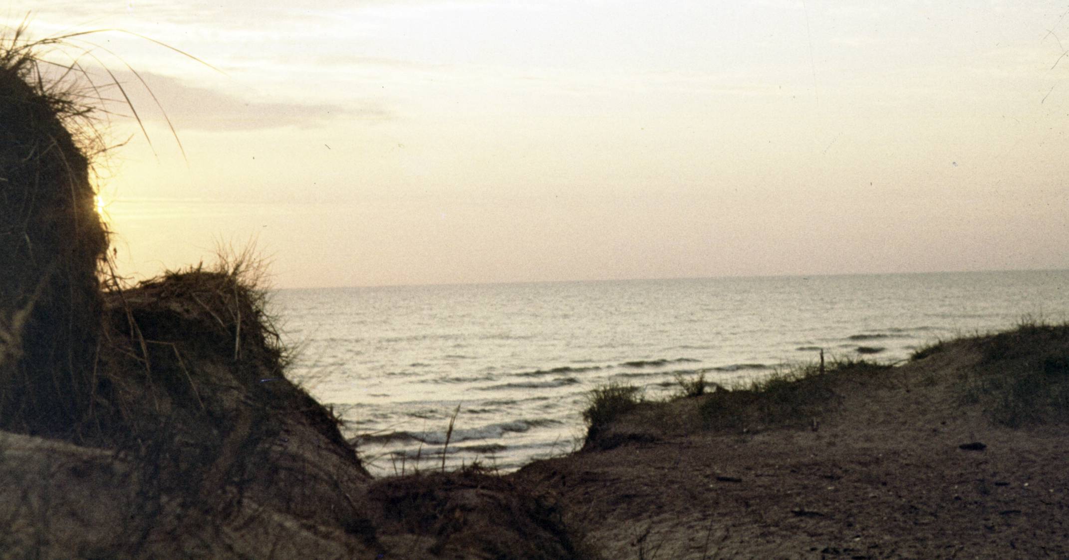 158.jpg
