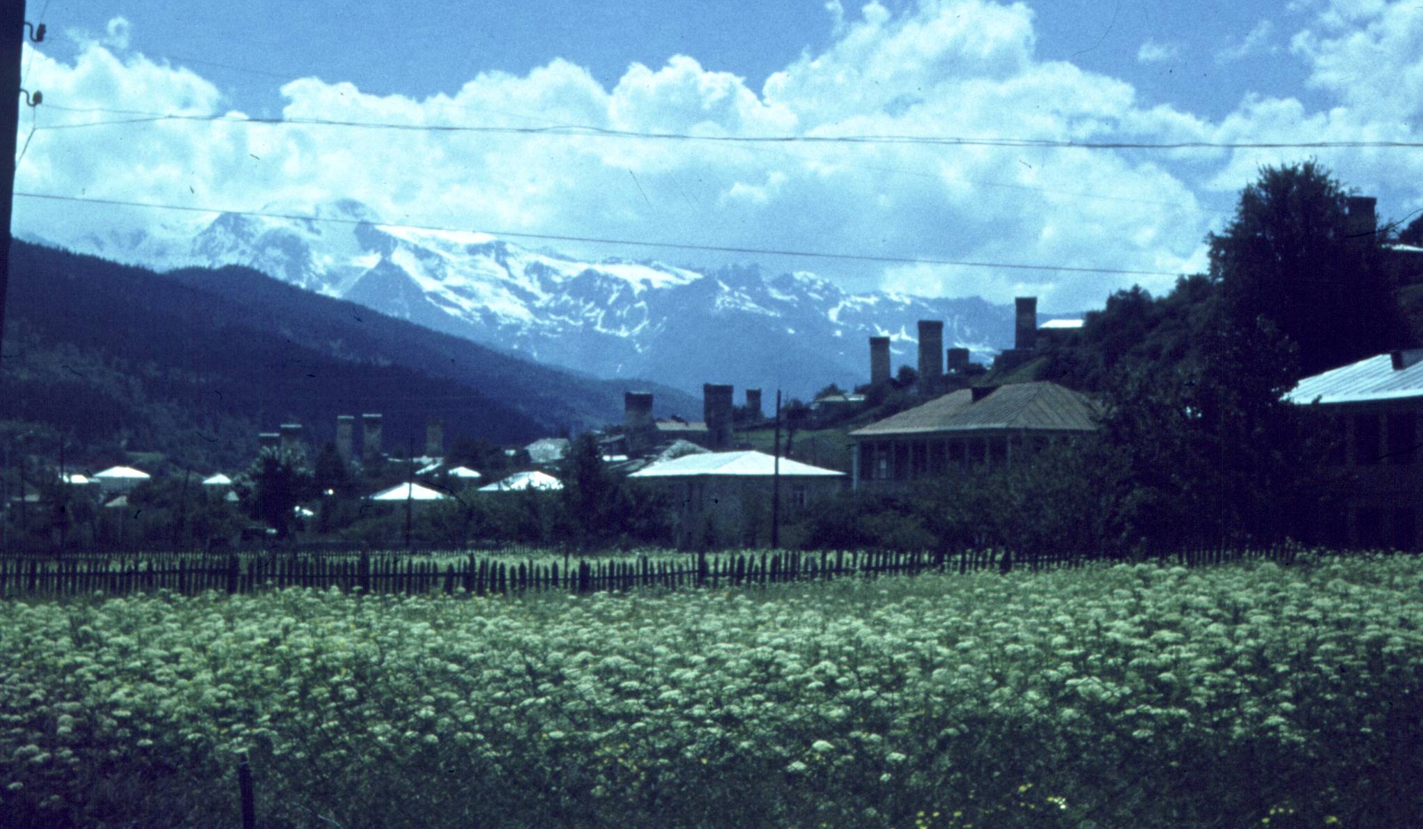 168.jpg