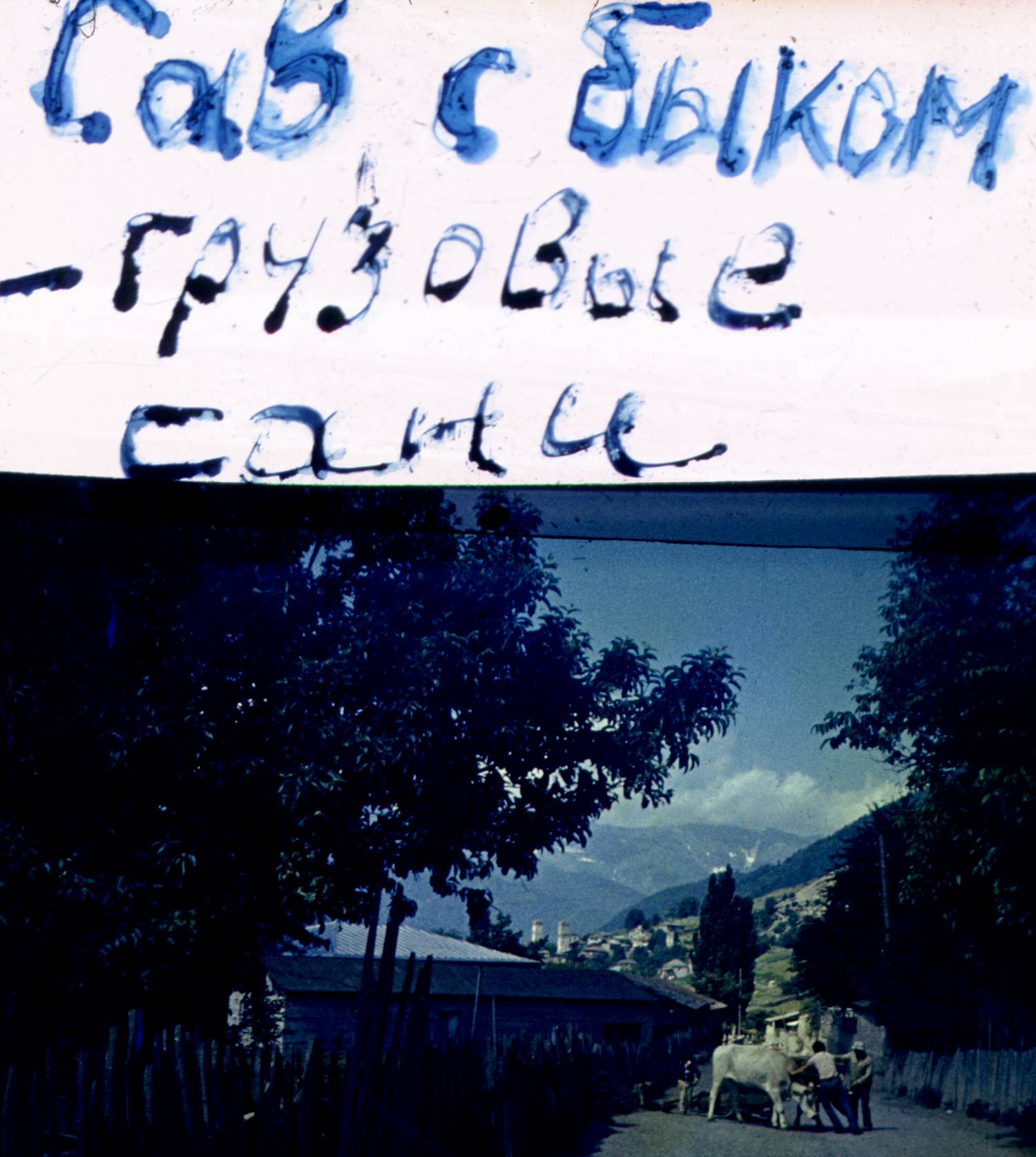 178.jpg