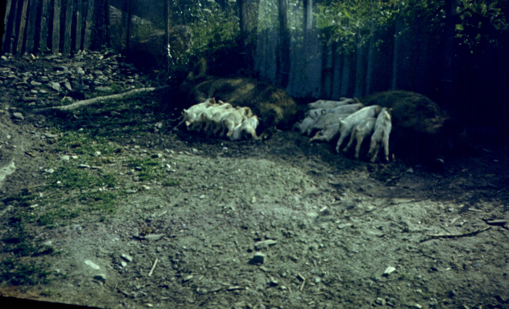 179.jpg