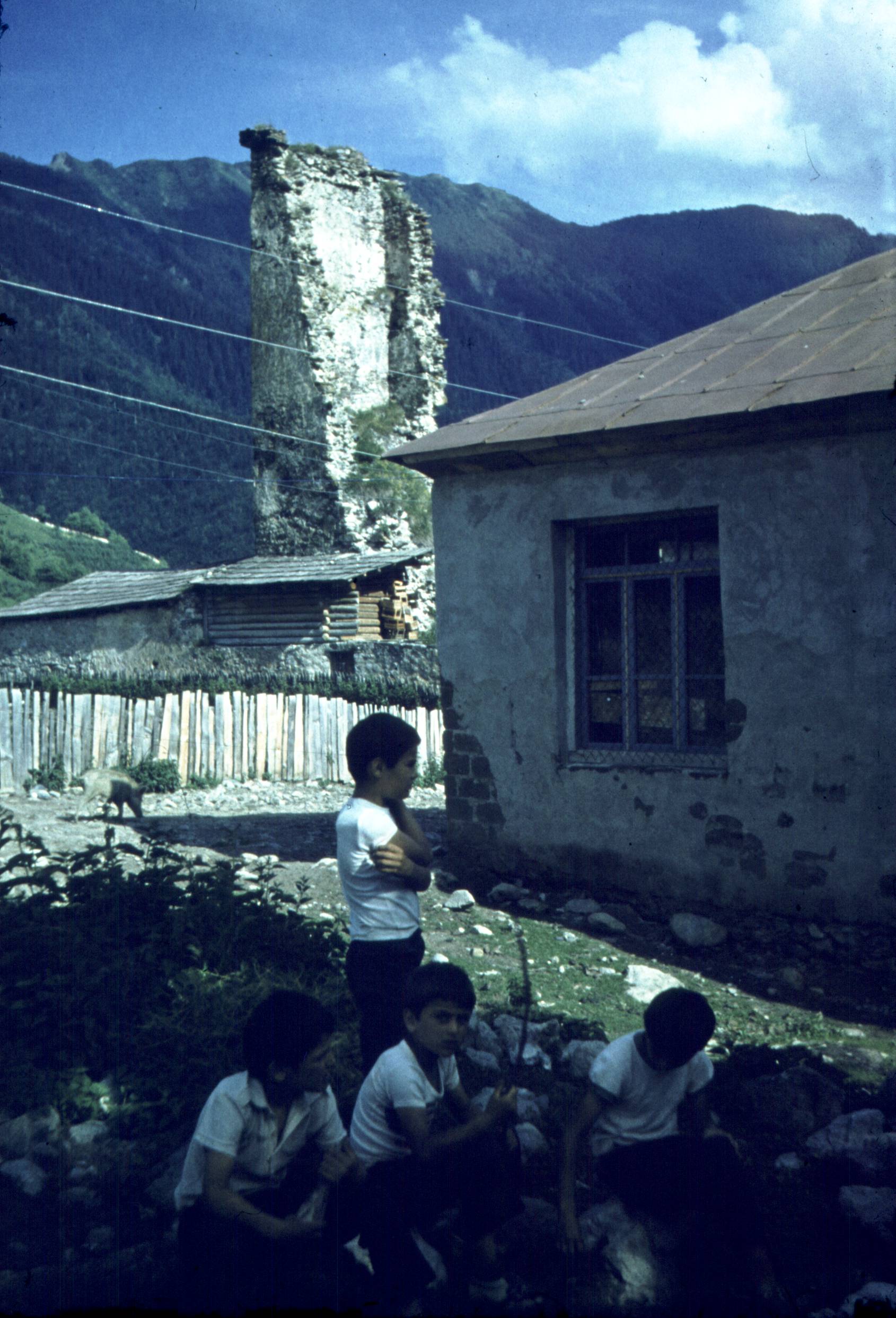 186.jpg