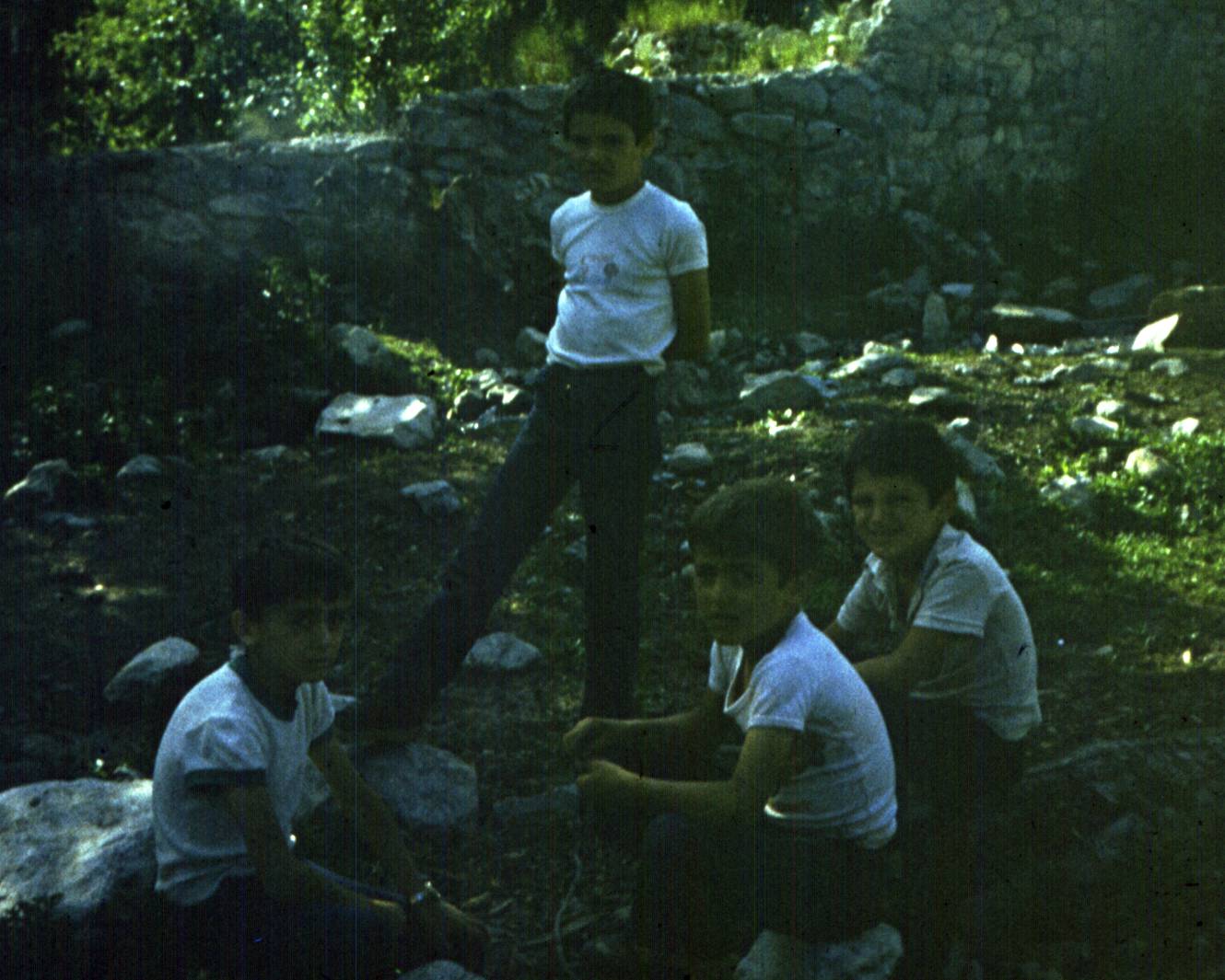 193.jpg