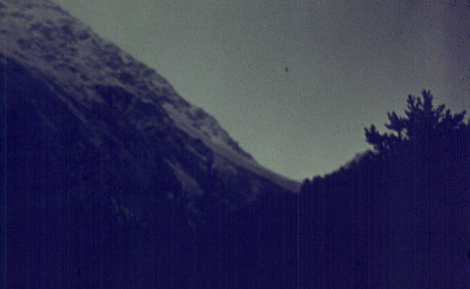 221.jpg