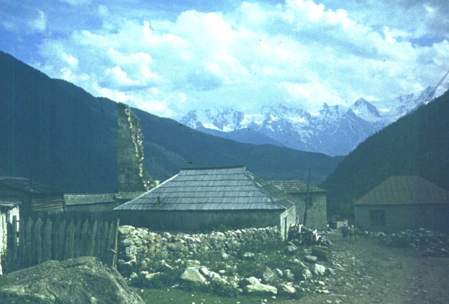 229.jpg